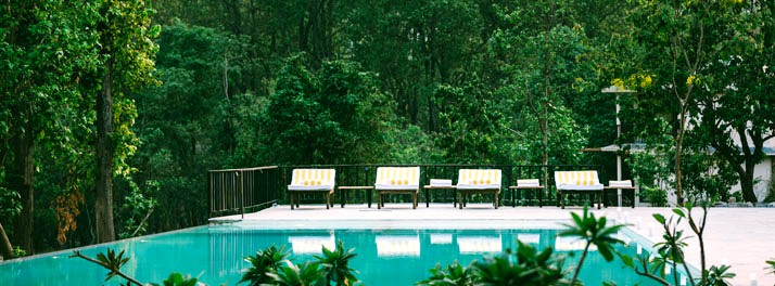 2528/lebua - Jim Corbett National Park 15.jpg